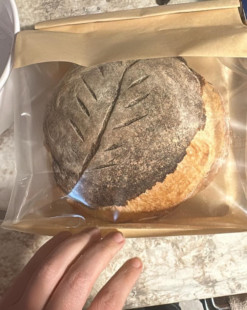 Regular Sourdough Loaf