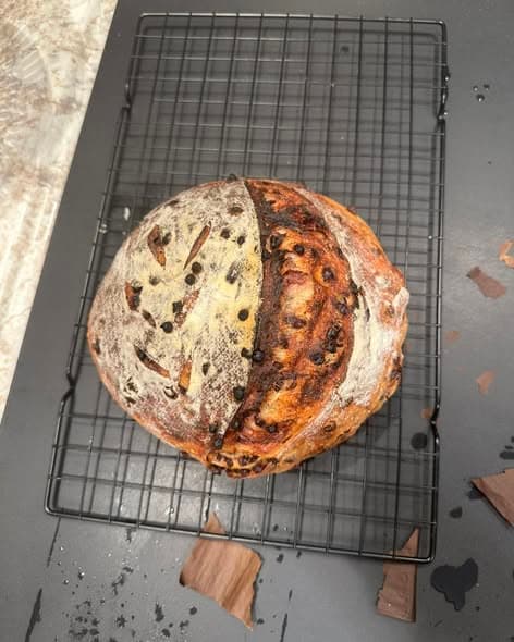 Regular Chocolate Chip Sourdough