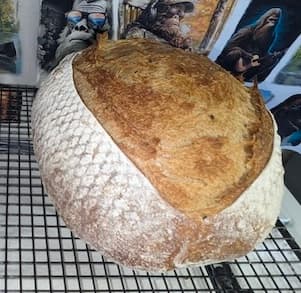 Organic fresh milled flour sourdough.