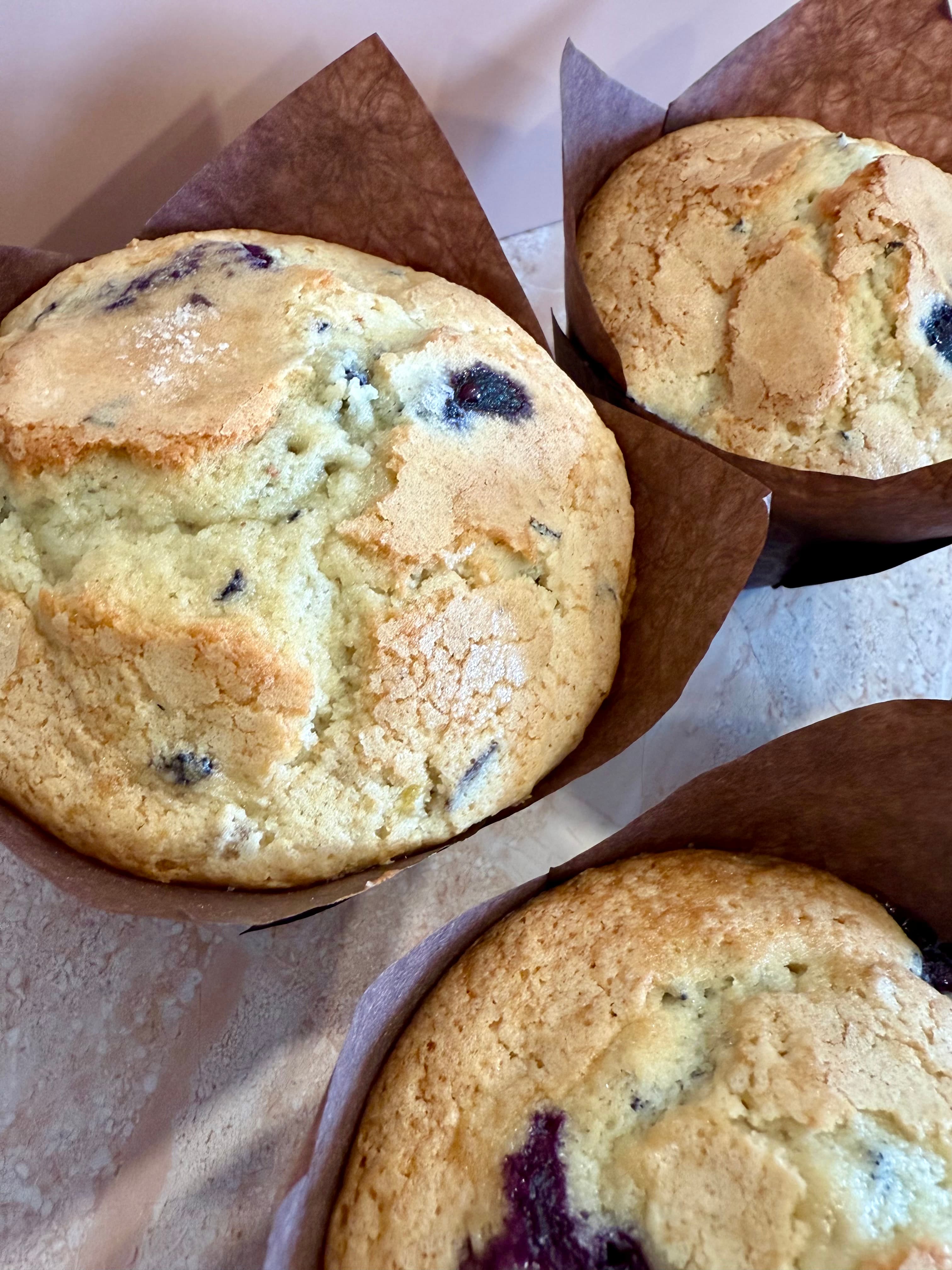 Blueberry Muffin
