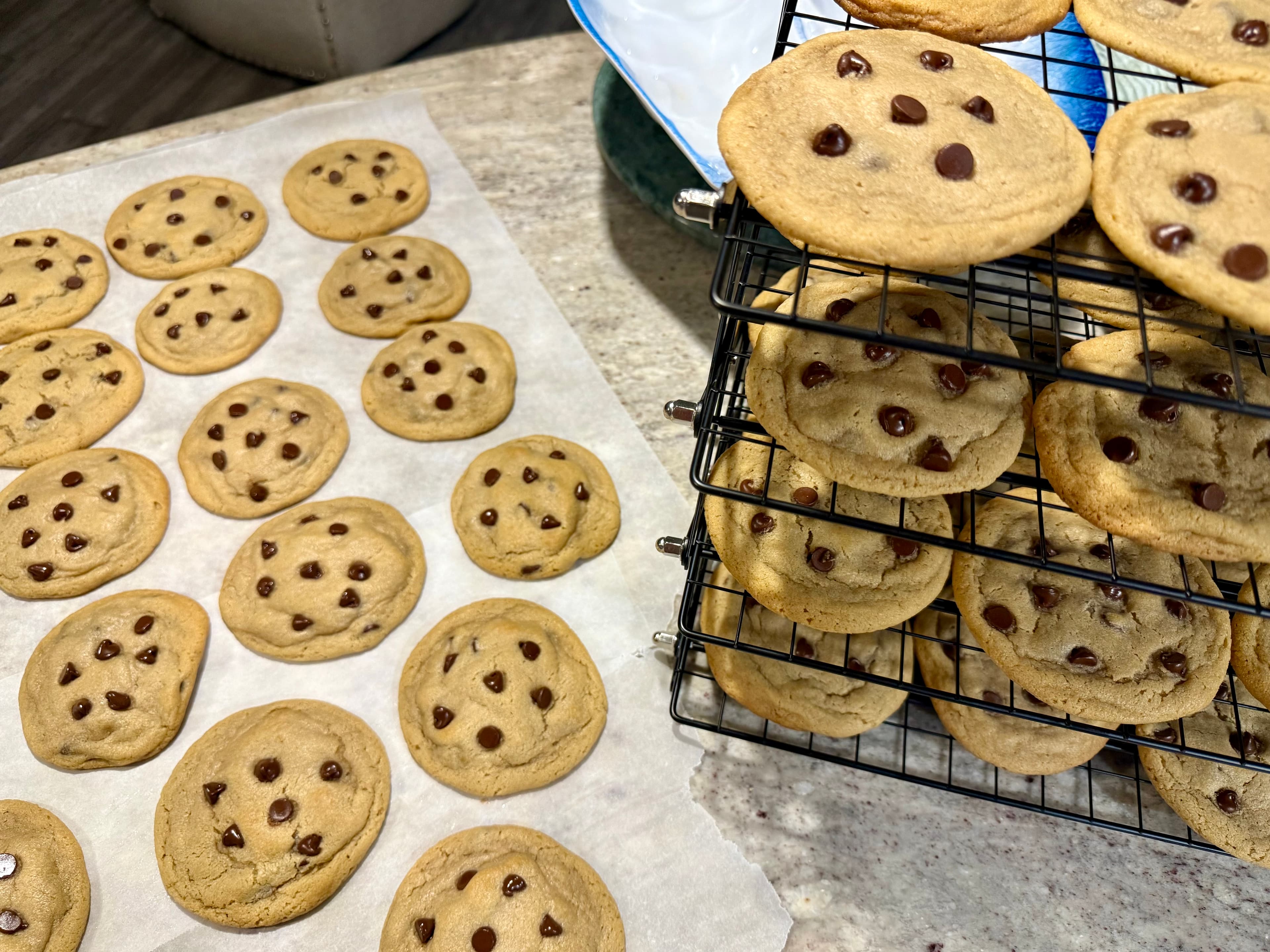 Chocolate Chip Cookie